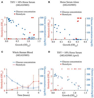 Route of Glucose Uptake in the Group a Streptococcus Impacts SLS-Mediated Hemolysis and Survival in Human Blood
